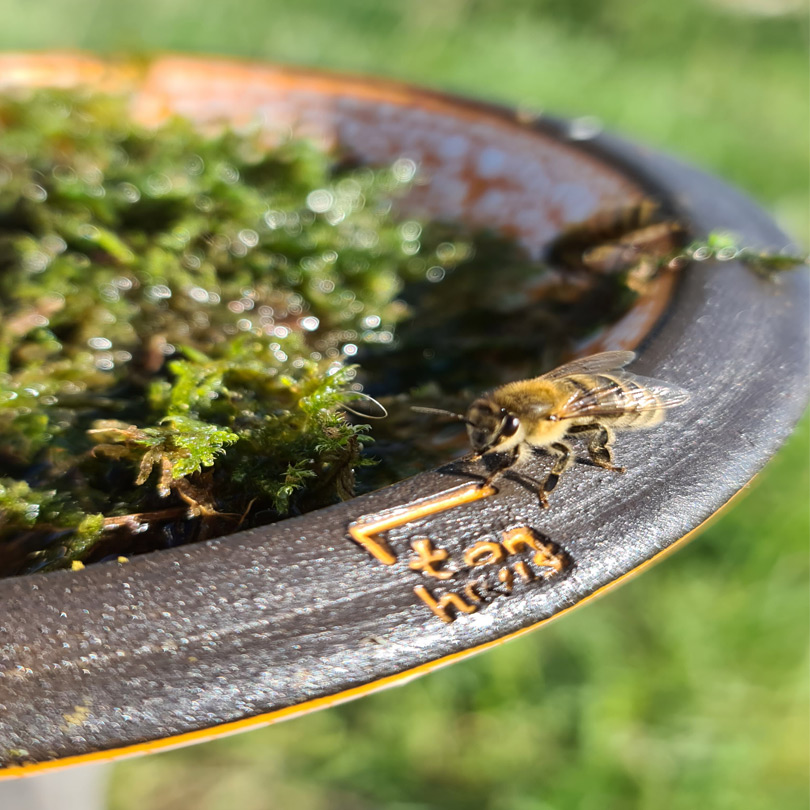 Vogeltränke Keramik | Bienenbar | Insekten- und Vogeltränke