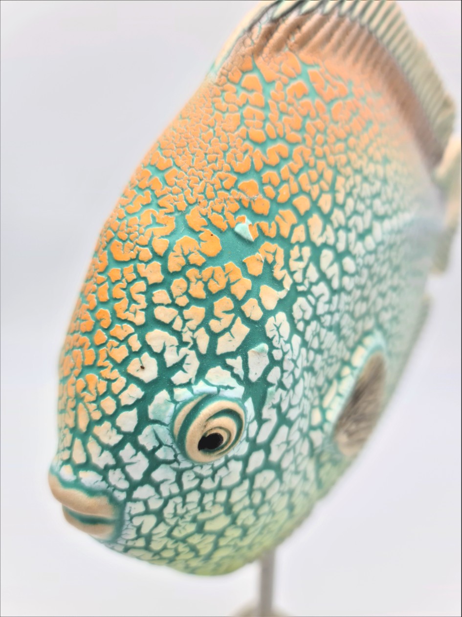 Keramik Fisch | Diskusfisch türkis/orange