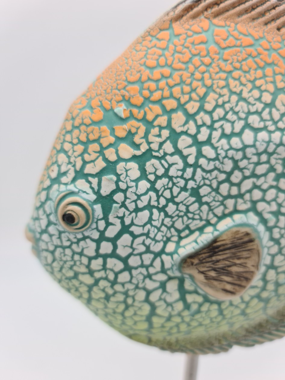 Keramik Fisch | Diskusfisch türkis/orange